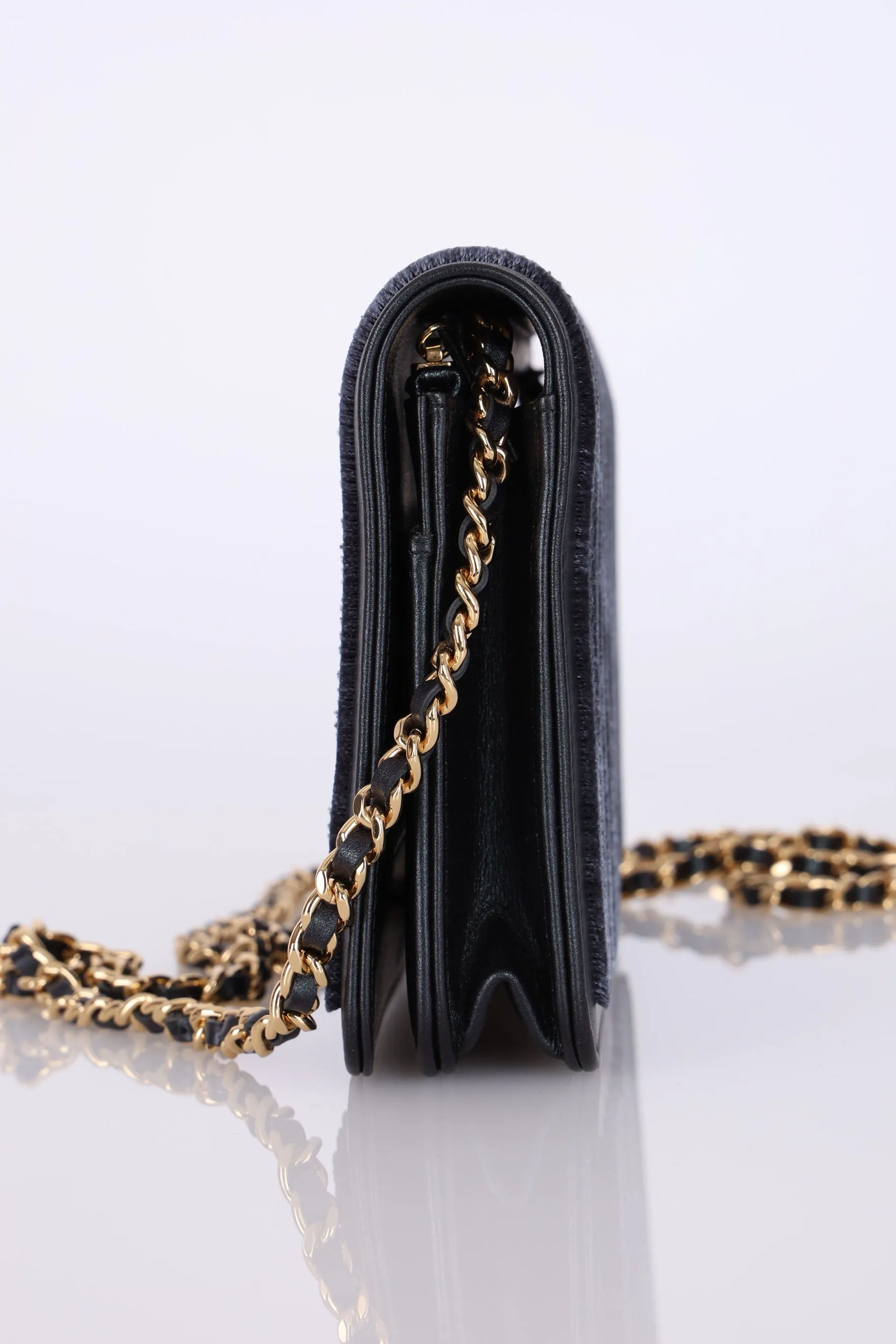 Chanel 2018 Iridescent Velvet Wallet on Chain