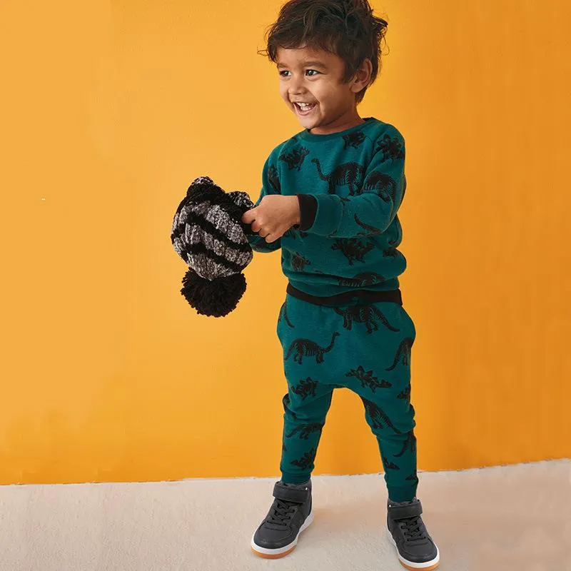 Toddler Boy's Dinosaur Print Long Sleeve Sweatshirt